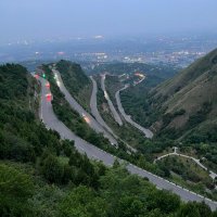 胡同的猫 (@xsyzy1) 's Twitter Profile