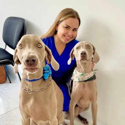 Médica Veterinaria con énfasis en nutrición de caninos y felinos.👩🏼⚕️🦴Sígueme en Instagram @isa.petcare