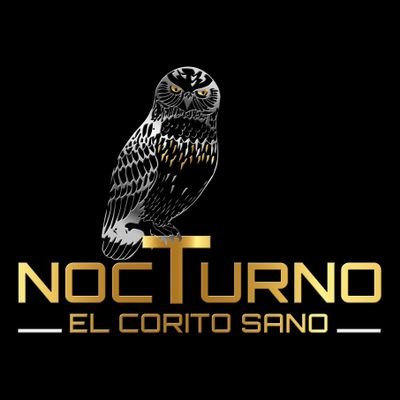 @nocturnocoritosano IG.