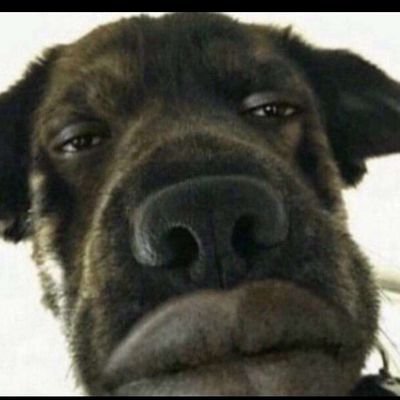 YtBossvibes's profile picture. 