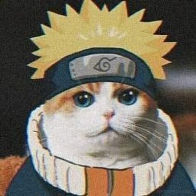 Edyblac78522117's profile picture. 