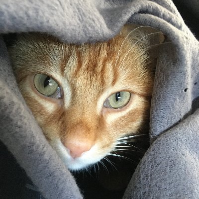 Où l'on découvre que la vie n'est pas un long fleuve tranquille, mais que certains moments peuvent être sympathiques... Alors autant s'occuper de ceux-là...
