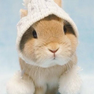 NatSiripin's profile picture. Hi there, this is twitter for sharing of technology.