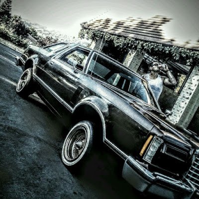 Modelcar7's profile picture. 