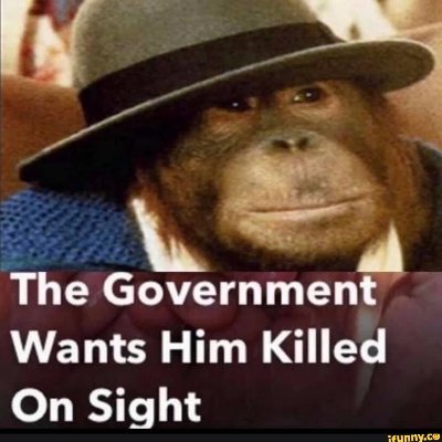 TheRedOats's profile picture. Living the dream.