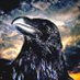 Raven (@ravenbrookspace) Twitter profile photo