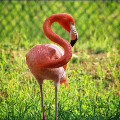 BadjieRass's profile picture. love, respect and unification make it a beautiful world, but unfortunately most of the problems in this world are the people. 
welcome to my simple world.❤️❤️⚽⚽