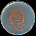 Pohlschroder Lab (@pohlschroderlab) Twitter profile photo Pohlschroder Lab (@pohlschroderlab) Twitter profile photo
