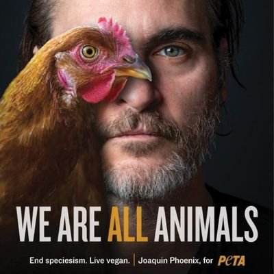 compte secundari de @Montsssse1
No és fàcil dominar l'art de perdre.
Alliberament animal!