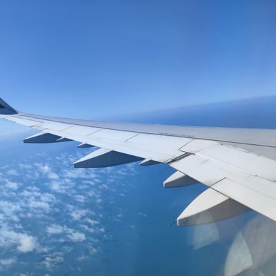 SD886886's profile picture. 178/75/30   158/45/19/D
#桃園 #北部 #中壢 #按摩 #換不換 #異國炮 #單男 #單女 #台北