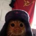 gerard (@atgerard) Twitter profile photo gerard (@atgerard) Twitter profile photo