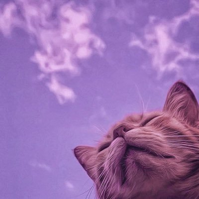 xxxxxopo's profile picture. 做一个沉浸在撸猫的幸福感里的人。远离在推特上自称觉醒人的魔怔人。