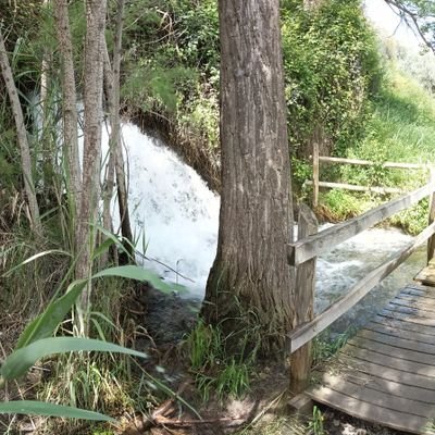 Viajar mucho y desconectar. Conocerse uno mismo. Defensora de la Naturaleza. Y soy de izquierdas!!🤠🏔️🚗🚊🛫