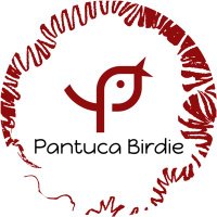 Pantuca Birdie(@PantucaBirdie) 's Twitter Profile Photo