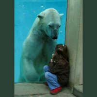 Paul R Bear (@paulrbear4) 's Twitter Profile