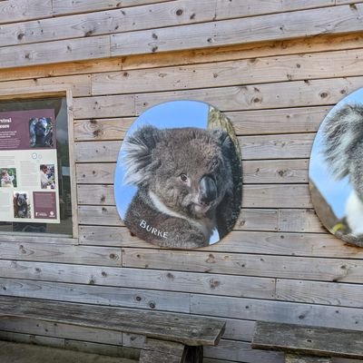 prolix's profile picture. 