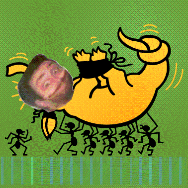 montyzuma2's profile picture. 