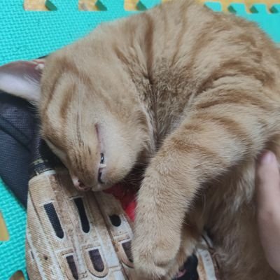 cherry870701's profile picture. 