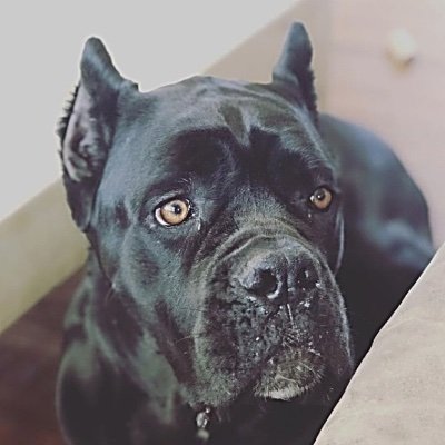 PrinceE65527346's profile picture. 