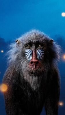 GODFREDDA1's profile picture. LEGEND