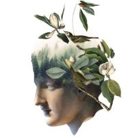 Arcadia Earth (@arcadia_earth) 's Twitter Profile