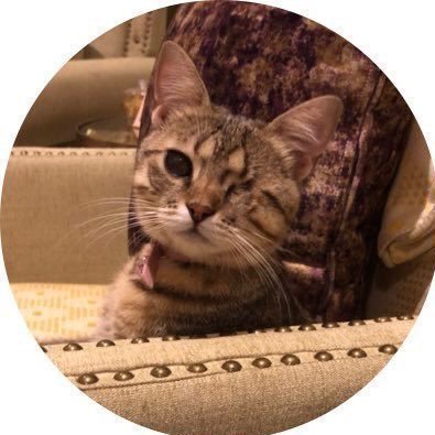 {وَأَحْسِن كَمَا أَحْسَنَ اللَّهُ إِلَيْكَ}. #AdoptDontShop #تبنى_لاتشتري #SaudiVision2030 #همة_طويق 🇸🇦