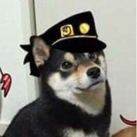 Jotaro Doggo