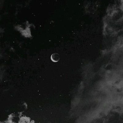 Weverto76555558's profile picture. 