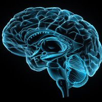 Neurocognitive Therapeutics, LLC (@drjseitz) 's Twitter Profile
