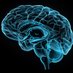 Neurocognitive Therapeutics, LLC (@drjseitz) Twitter profile photo Neurocognitive Therapeutics, LLC (@drjseitz) Twitter profile photo
