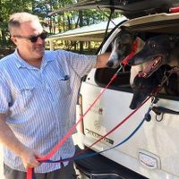 Chris Garrity (@belmostickey) 's Twitter Profile Photo