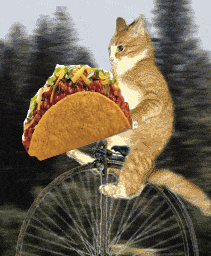 TacotheCat1's profile picture. Just an advice giving cat- talk to me and I'll listen!!! meow