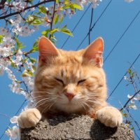 Liliana7 (@liliana7_07) 's Twitter Profile