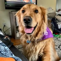 LivingADream (@allentownmike) 's Twitter Profile Photo