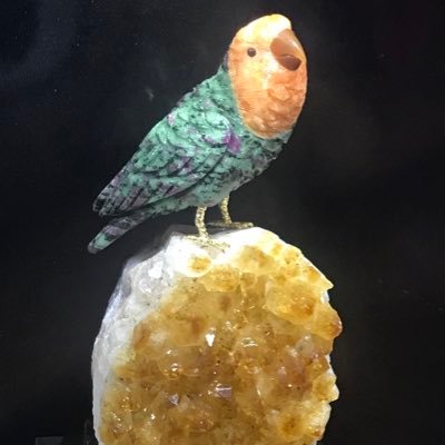 champignon77's profile picture. Champinion