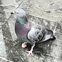 J_G (@jg_jg_jg_) 's Twitter Profile