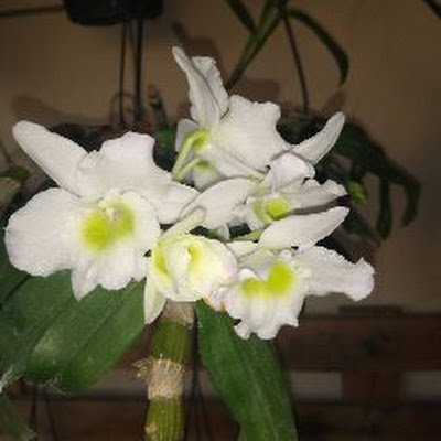 Cristin08462430's profile picture. maneiras de viver sua fé e focar na jornada espiritual que o leva de onde você está para onde Deus quer que você esteja.

Interesse:Você luta com o crescimento