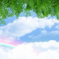 yothimu's profile picture. 