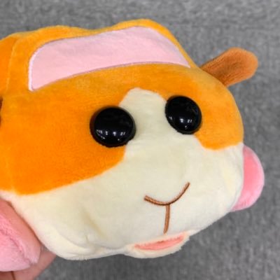 はるく🦷さんのプロフィール画像