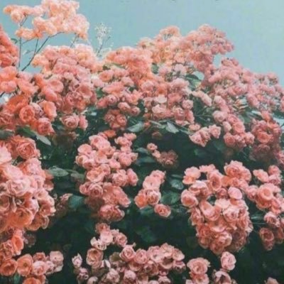الله يحفظه لي ولقلبي ويبعد عنه كل هم وحزن وتعب ويجعل ايامه وقلبه كلهم سعاده في سعاده💕