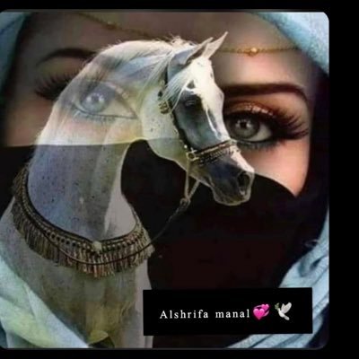 اللهم بأسمك الجامع اجمع بين سعادتي وتوفيقي مدينة الحبيب المصطفى. ❤️هاشميه وافتخر ❤️