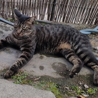 iotui2's profile picture. 3度の飯より釣りが好き!!