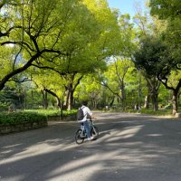 ひじき (@rozzobb16) Twitter profile photo