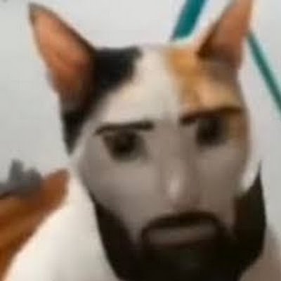 Krayvhus6's profile picture. HOLA?