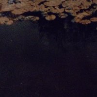 Nehmen und Geben lassen! (@eulenreichlich) 's Twitter Profile