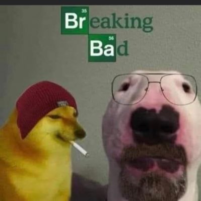 yoyo_shao's profile picture. 