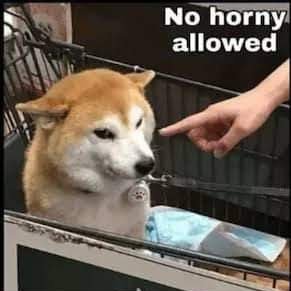 orat999's profile picture. 