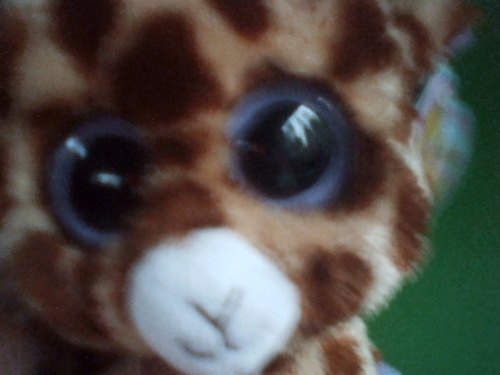 MahriB1's profile picture. 