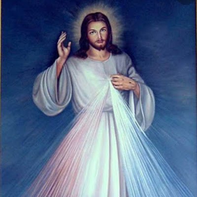 Garfield @vitruveochain Profile