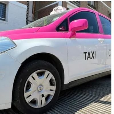 Soy el taxi animalista transportamos, rescatamos y damos pensión a perritos rescatados